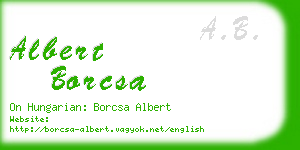 albert borcsa business card